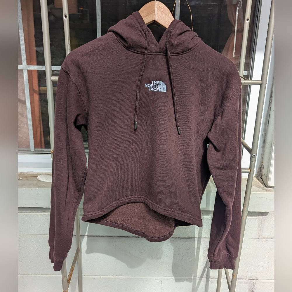 The North Face Logo Cropped Hoodie Size Small Brown
